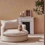 ⁦كنب مفرد مودرن بتصميم دائري مميز⁩ - الصورة ⁦3⁩